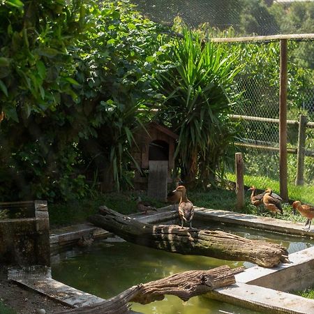 Casa Do Sobrado 호텔 빌라레알 외부 사진