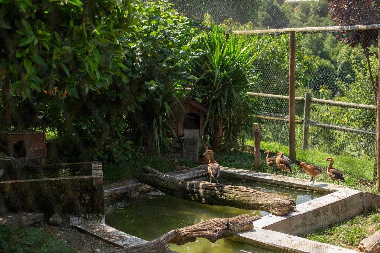 Casa Do Sobrado 호텔 빌라레알 외부 사진