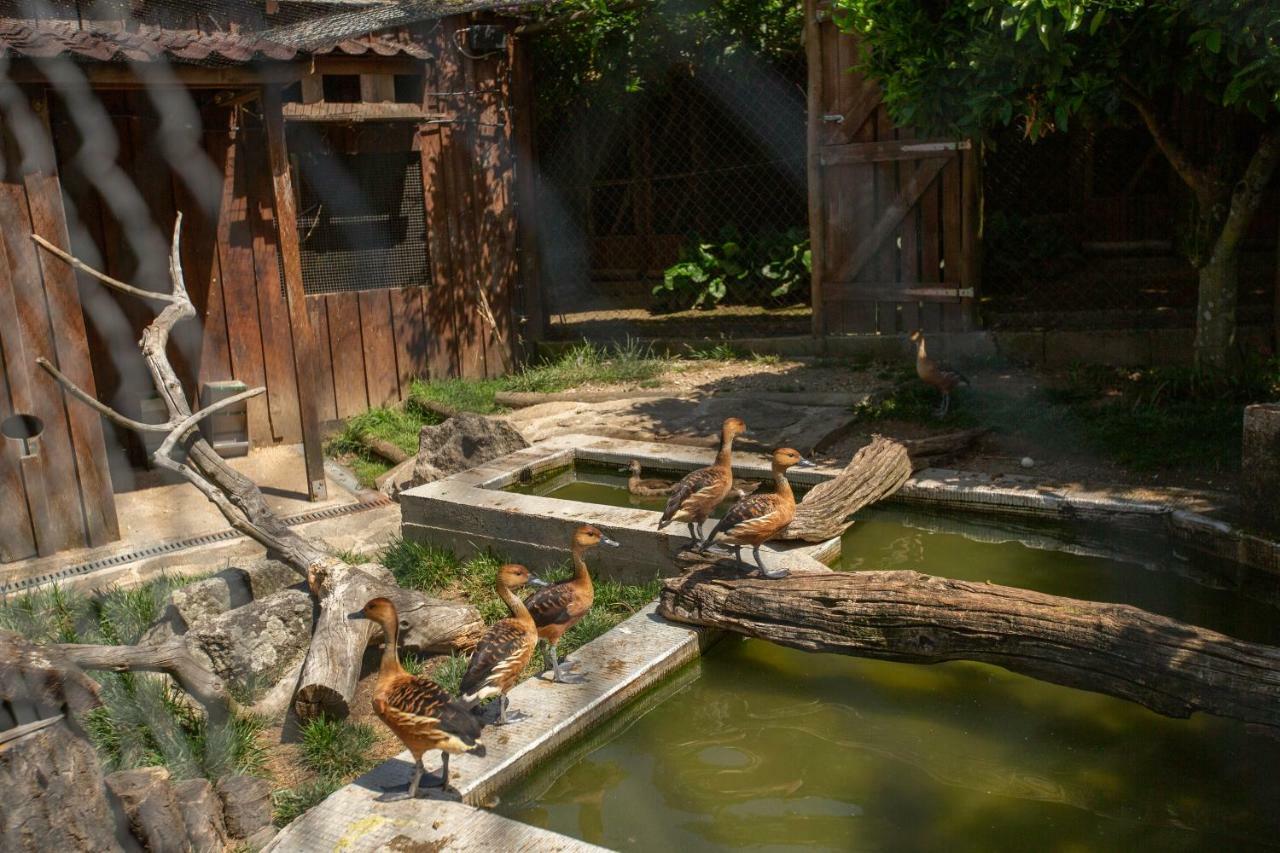 Casa Do Sobrado 호텔 빌라레알 외부 사진